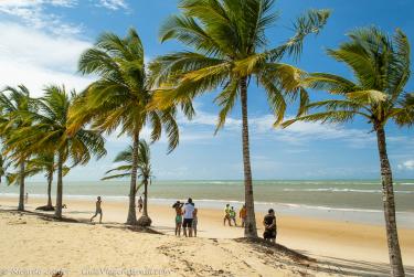 Foto da Praia de Mundaí, em Porto Seguro, BA – Crédito da Foto: © Ricardo Junior Fotografias.com.br