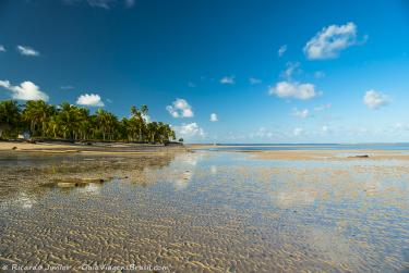 Foto da Praia de Tatuamunha, em Porto de Pedras, AL – Crédito da Foto: © Ricardo Junior Fotografias.com.br