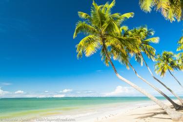 Foto da Praia do Patacho, em São Miguel dos Milagres, AL – Crédito da Foto: © Ricardo Junior Fotografias.com.br