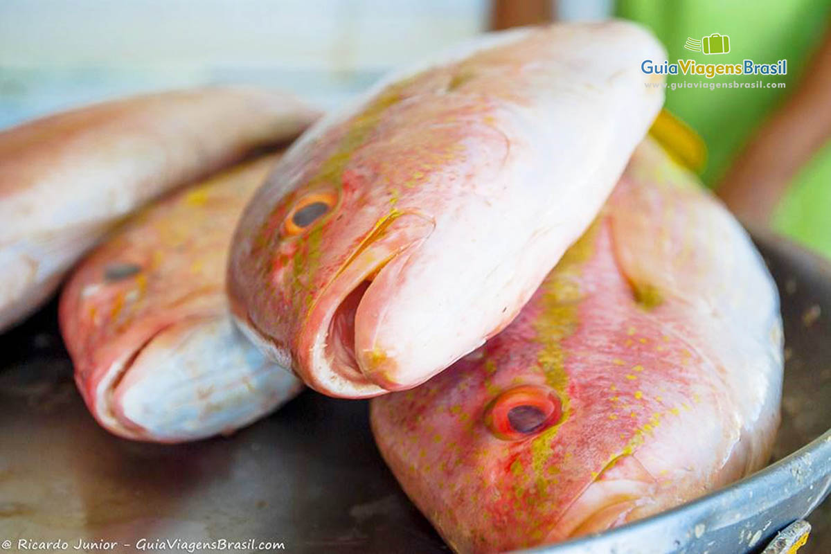 Imagem de lindo peixes vendidos na Praia Arembepe.