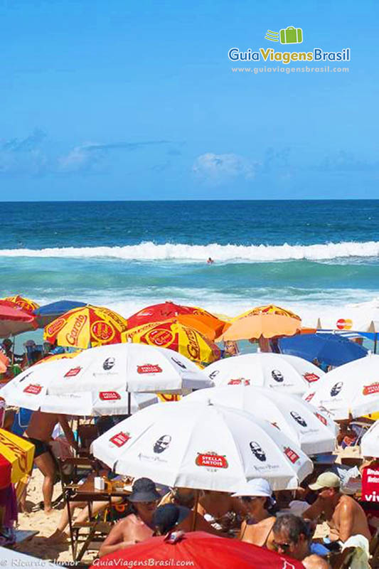 Imagem vários guarda sol nas areias da Praia Brava.