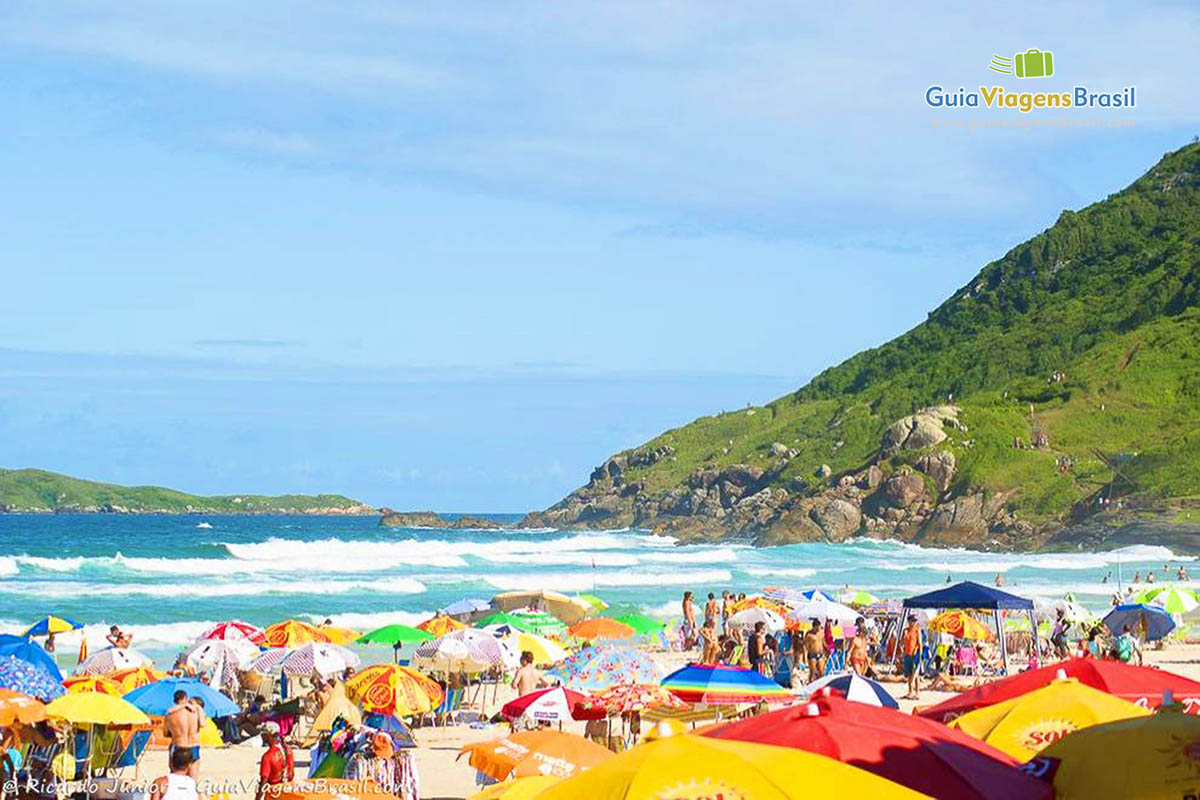 Imagem da badalada Praia Brava em Santa Catarina.