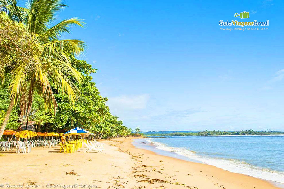 Imagem de guarda sol nas areias da linda Praia da Concha.