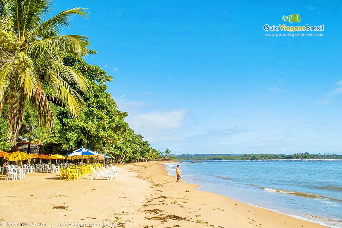 Imagem das belezas naturais da belíssima praia.