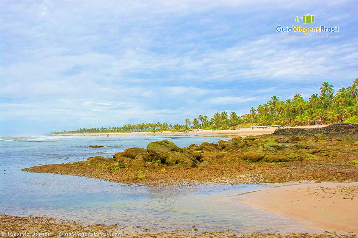 Imagem do mar calmo e ao fundo belos coqueiros da Praia Costa do Sauípe.