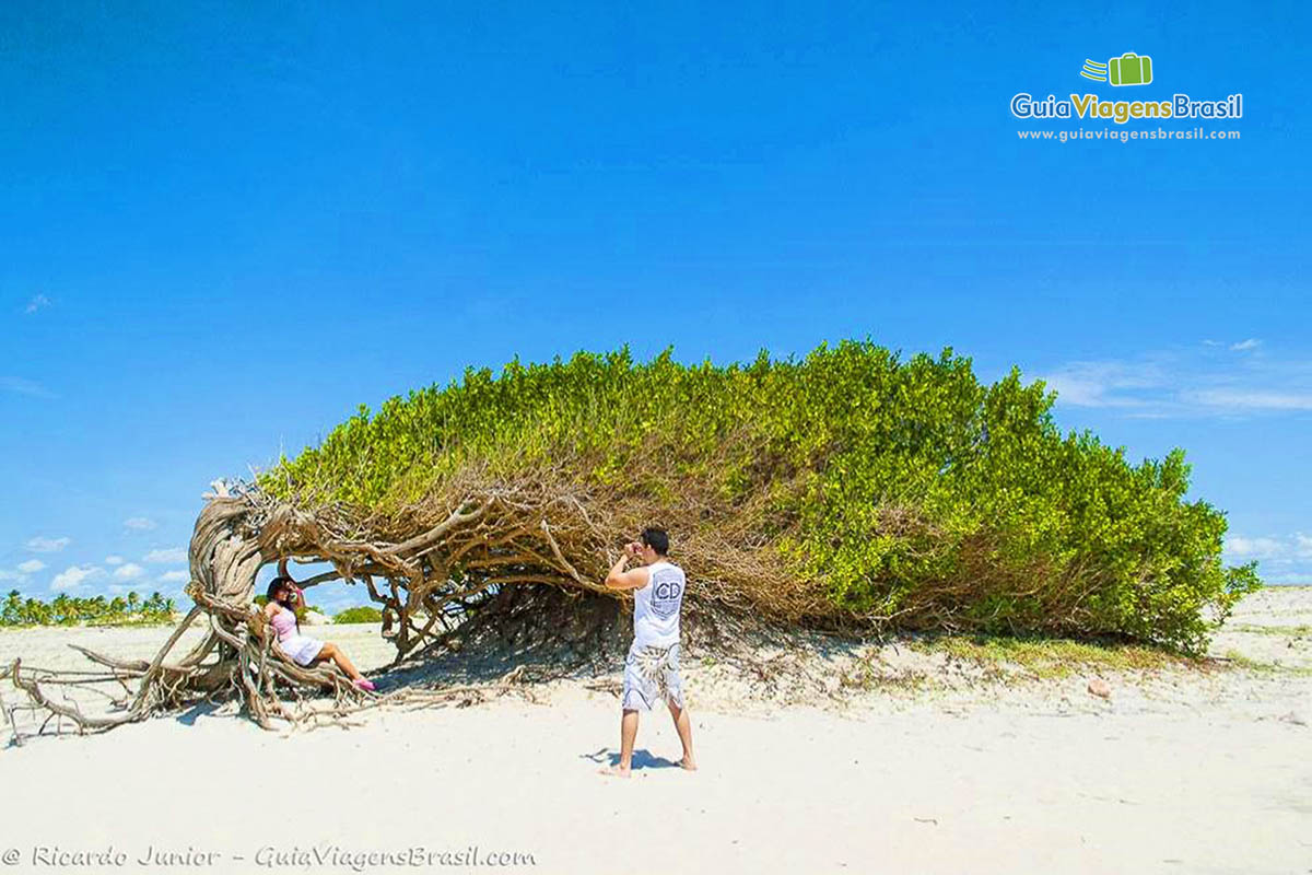 Imagem de turista tirando foto da árvore da Preguiça na Praia Deserta.