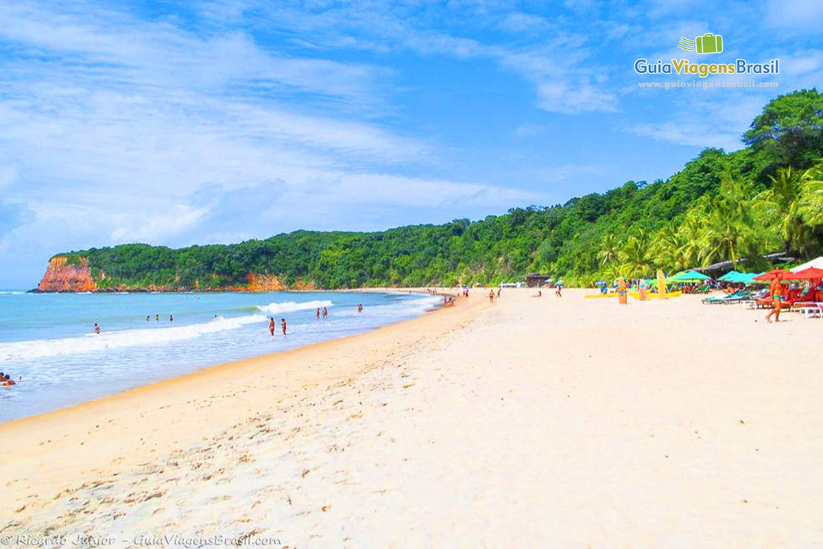 Imagem das lindas árvores na Praia do Madeiro.