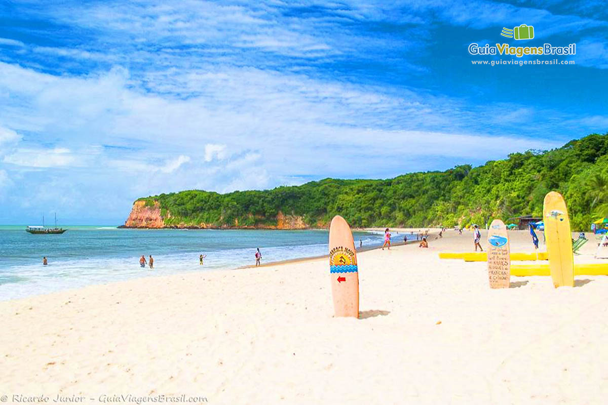 Imagem de pranchas fincadas nas areias da Praia do Madeiro.