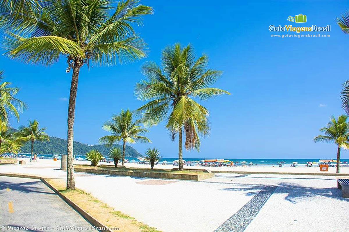 Imagem de um lindo dia de sol no calçadão da Praia Grande.