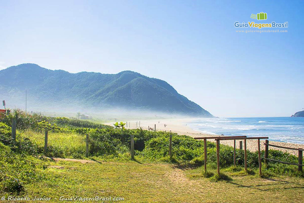 Imagem da bela vegetação e ao fundo a Praia Grumari.