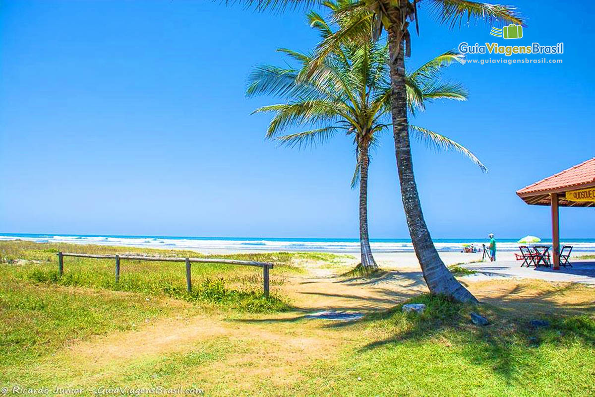 Imagem de coqueiros e fotógrafo na Praia Itanhaem.