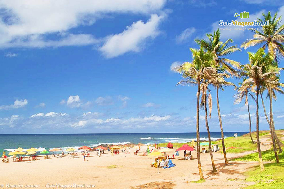 Imagem de um lindo e maravilhoso dia na Praia Jardim de Ala.