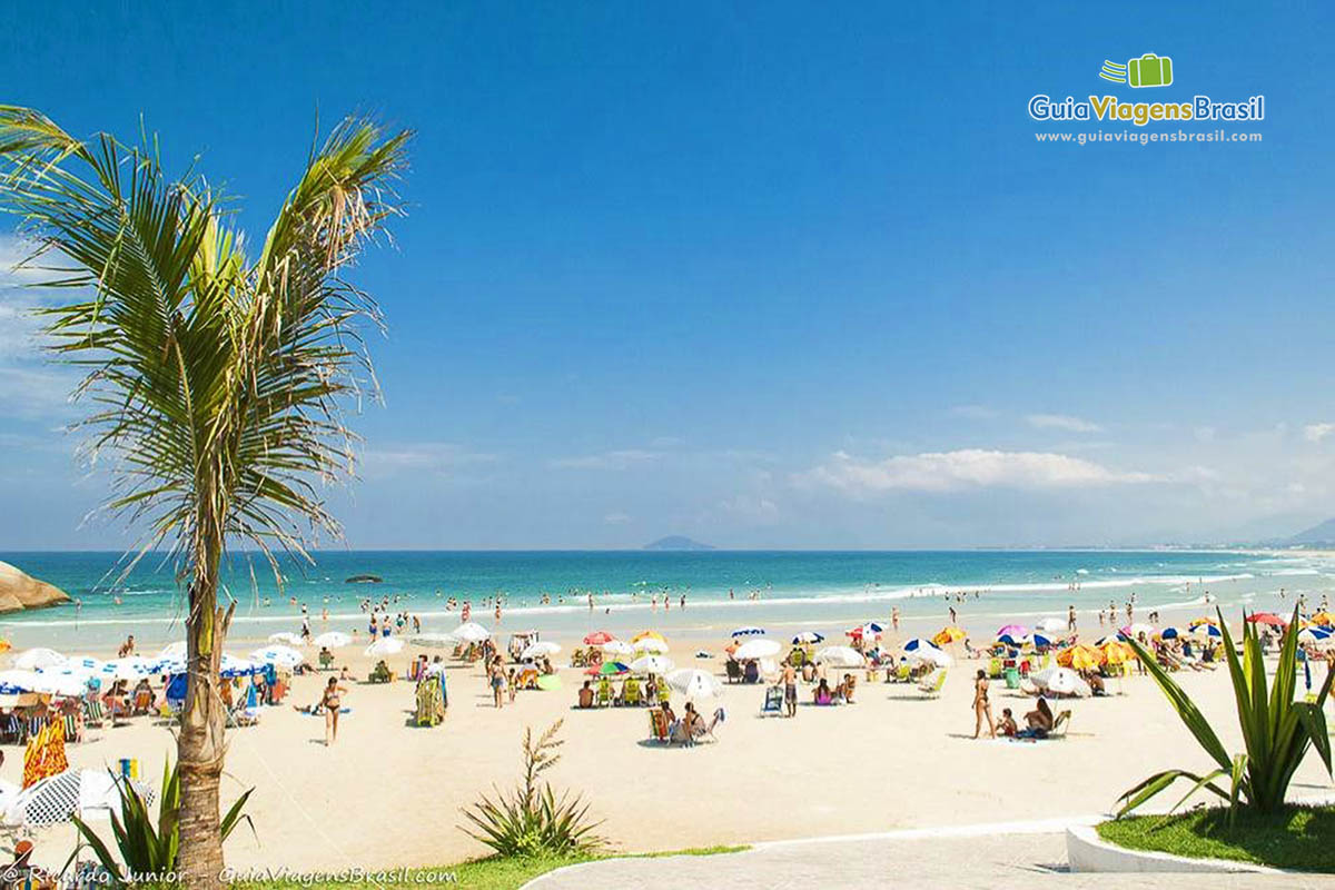 Imagem do lindo mar azul da Praia Joaquina em Florianópolis.