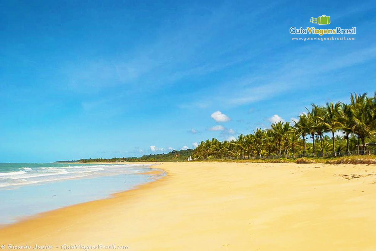 Imagem dos coqueiros na orla da linda Praia Nativos em Trancoso.