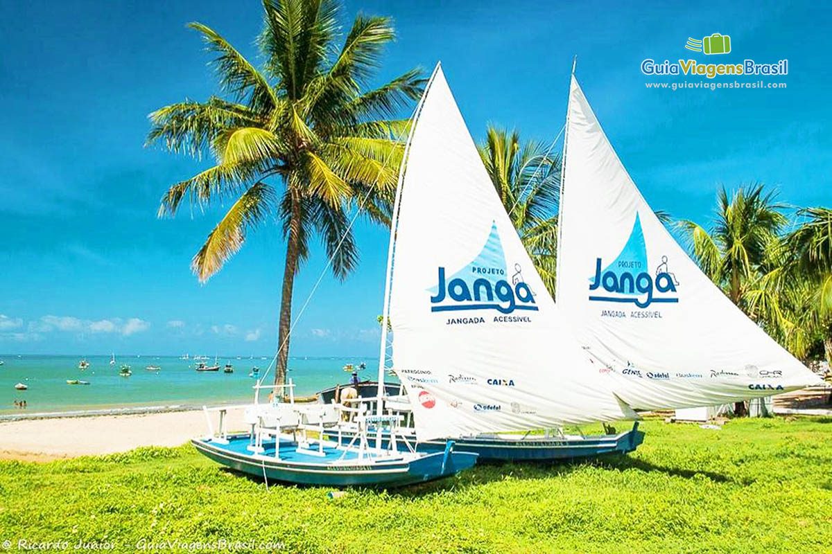 Imagem de duas jangadas e os anúncios em sua vela nas areias da praia.