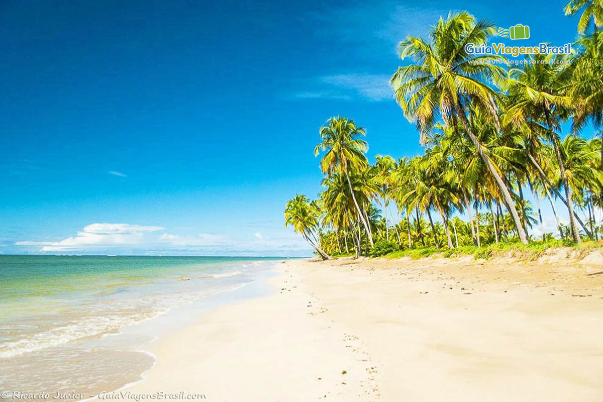 Imagem das águas translúcidas na Praia Patacho.