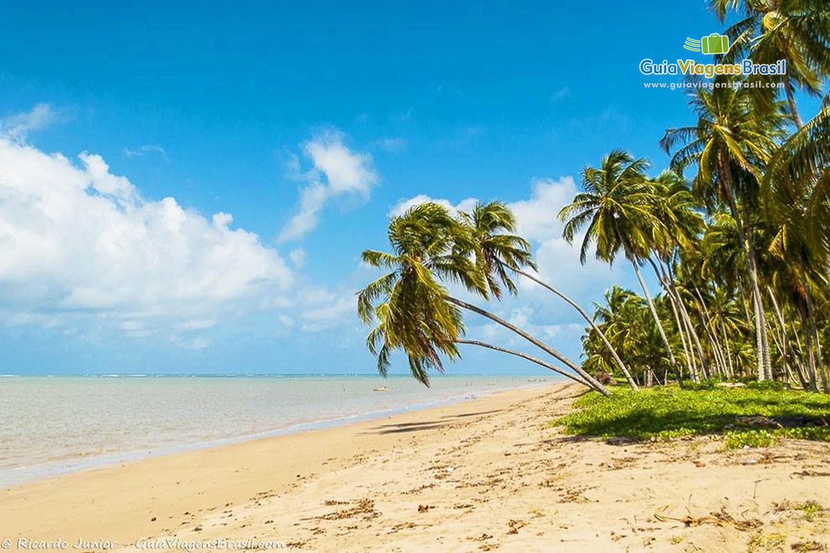 Imagem das maravilhosa Praia Patacho.