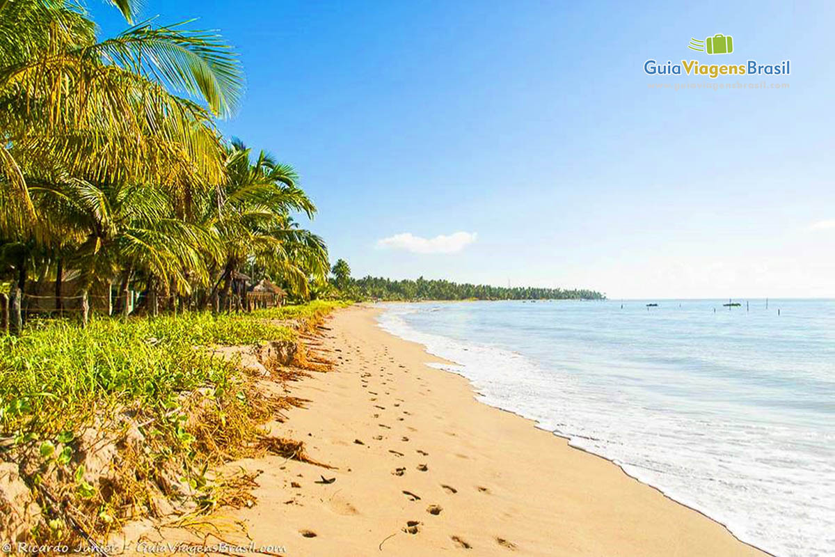 Imagem das belas água da Praia Ponta do Mangue.