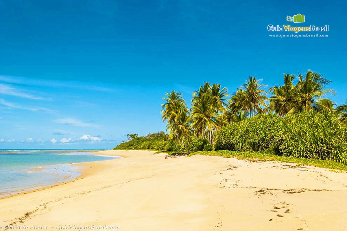 Imagem do mar azul, areia clara e verdes da vegetação. 