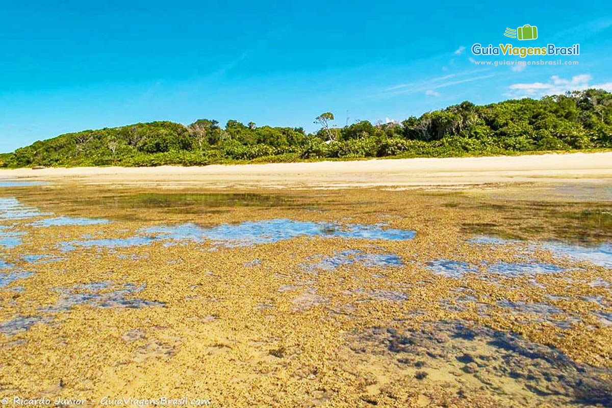 Imagem da Praia Itapororoca na maré baixa.