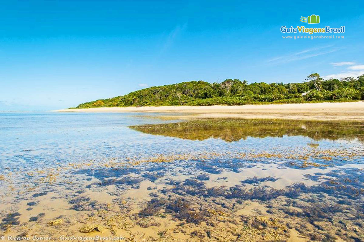 Imagem da água clara que vemos fundo do mar. 