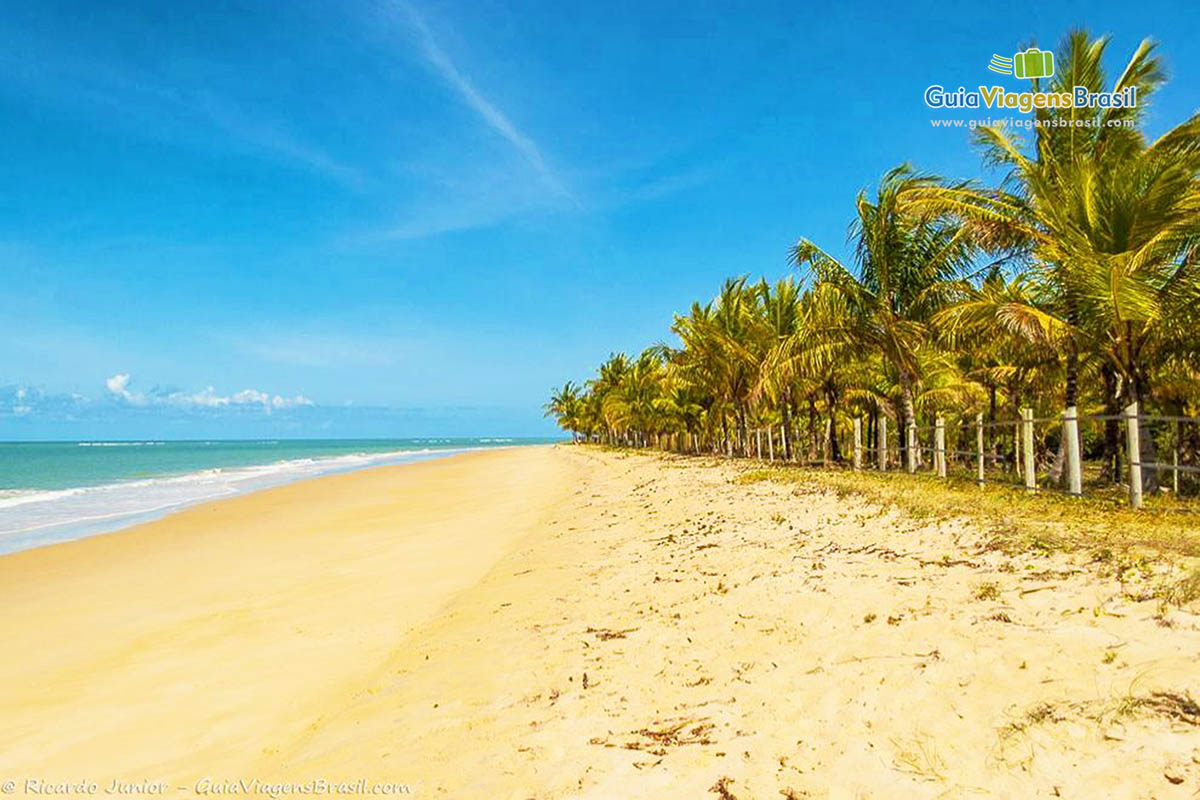 Imagem de um dia maravilhoso com céu azul.