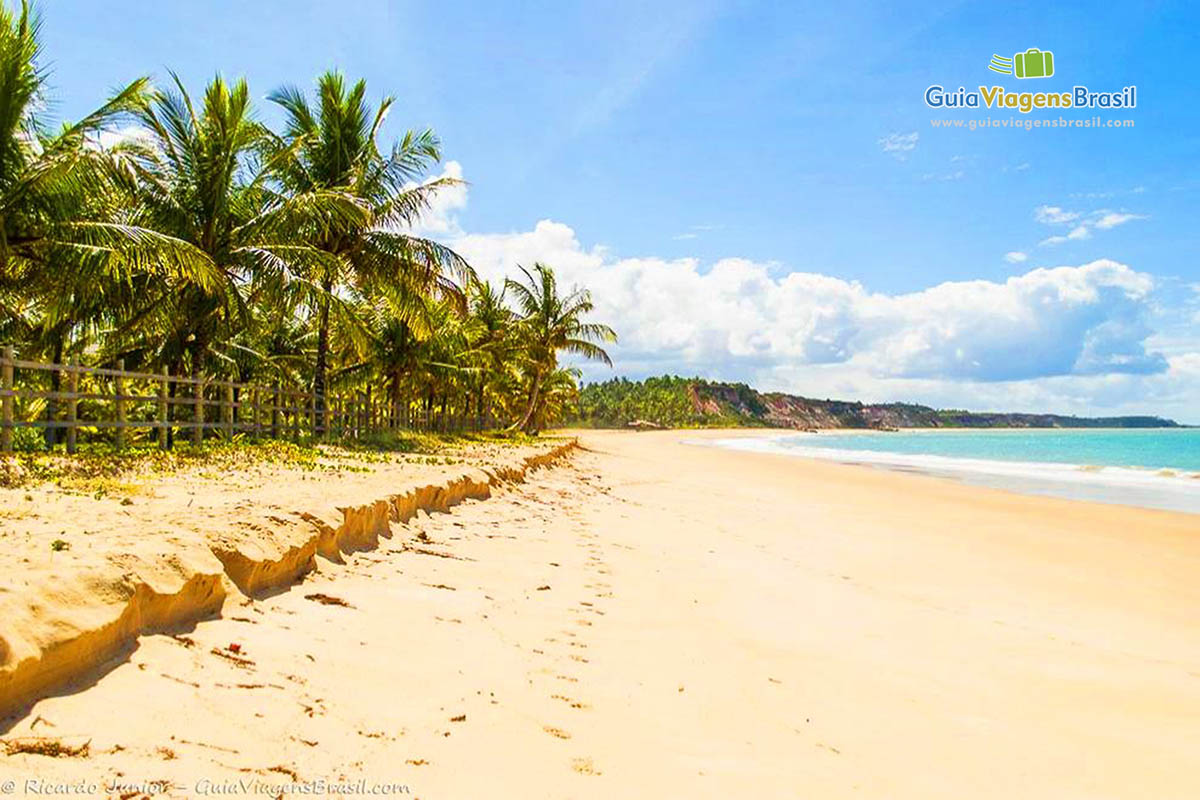 Imagem da orla repleta de coqueiros em Trancoso.