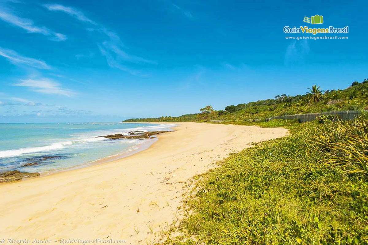 Imagem da linda vegetação na Praia Rio Verde.