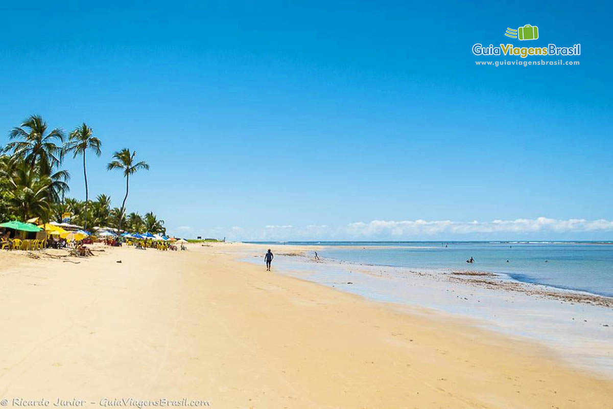 Imagem das belezas da Praia de Tamandaré.