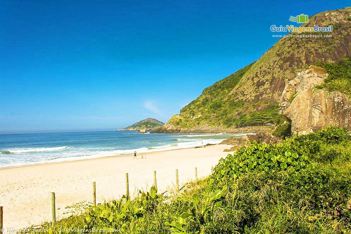 Imagem da vegetação e das pedras no canto da praia.