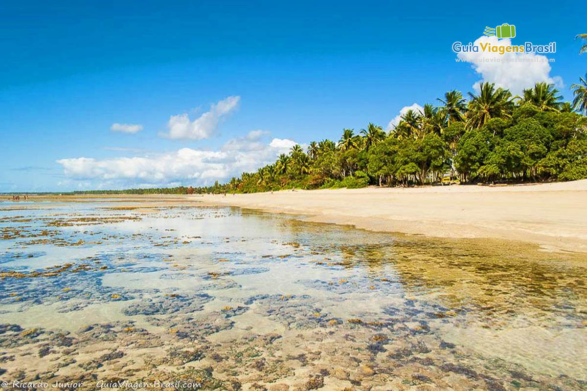 Imagem das águas transparentes linda praia encantadora.