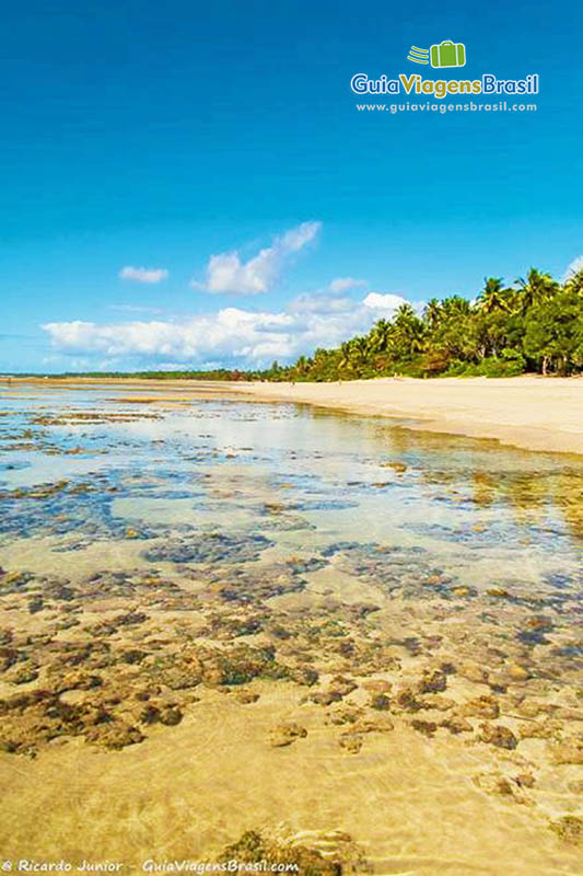 Imagem das belezas da Bahia, a maravilhosa Quarta Praia.