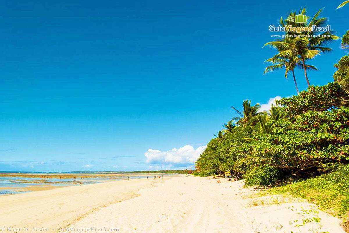 Imagem da extensa praia de Morro de São Paulo.