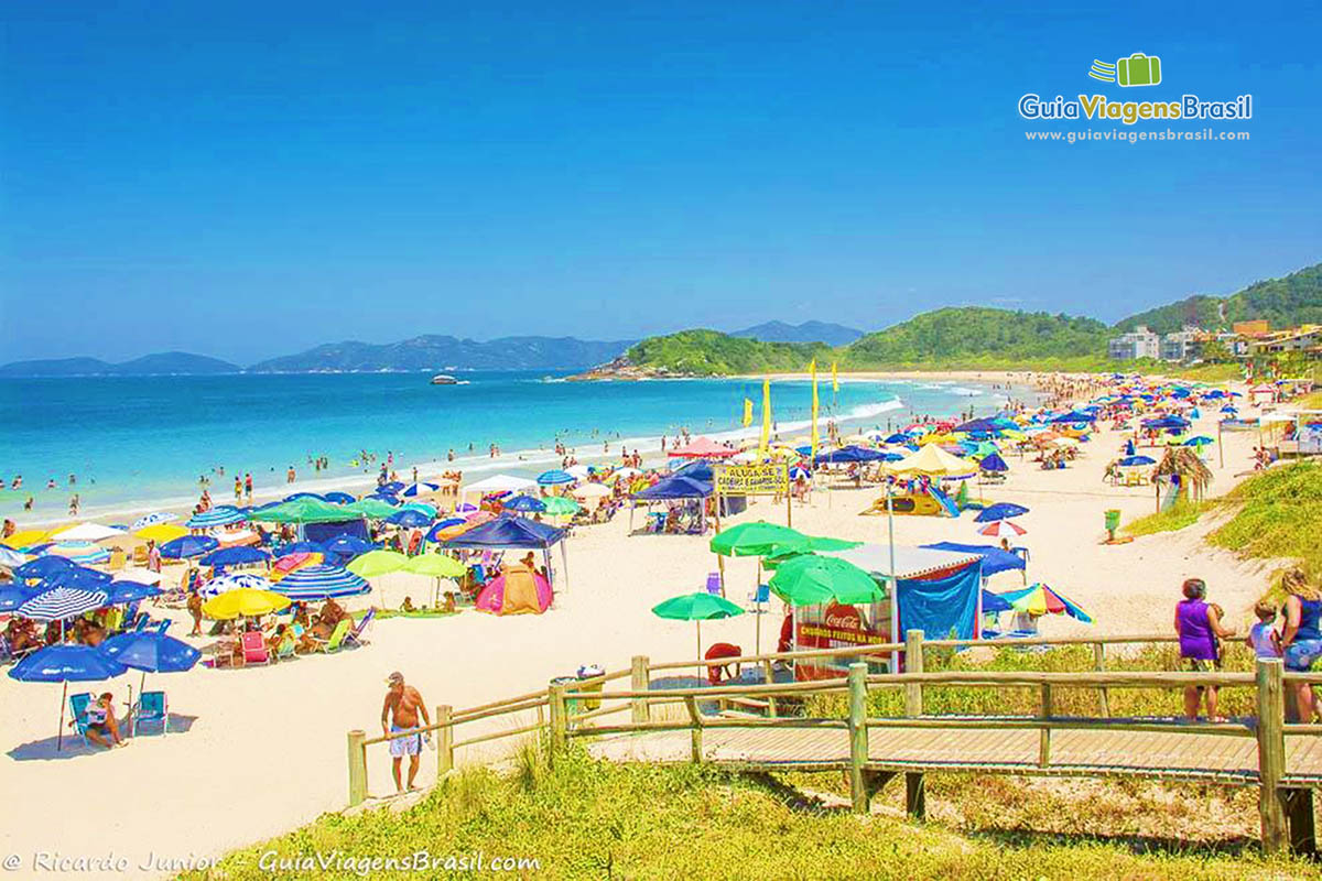 Imagem de guarda sol coloridos nas areias da praia.