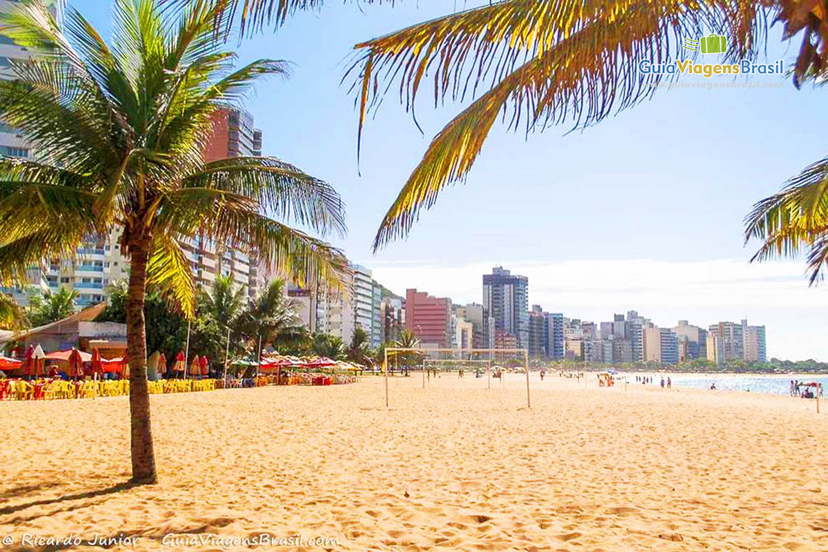 Imagem dos coqueiros e larga faixa de areia da badalada Praia da Costa.