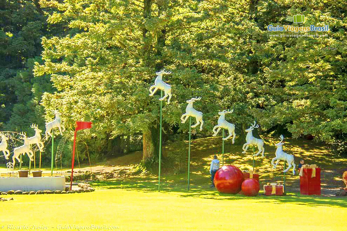 Imagem de réplicas das renas no jardim da Aldeia.