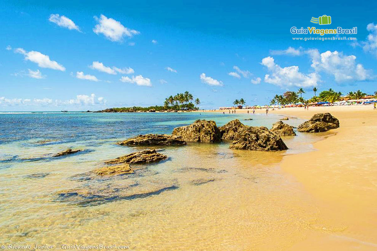 Imagem das águas transparentes  e ao fundo coqueiros e turistas no mar.