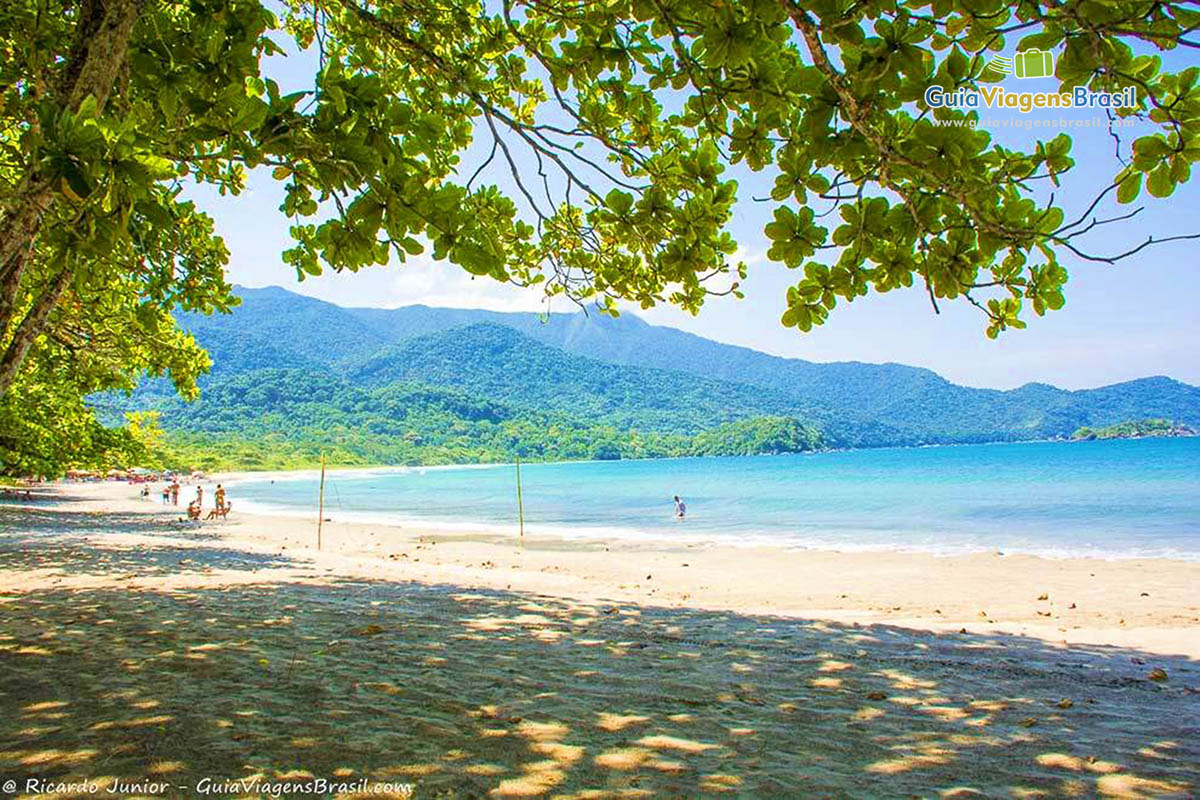 Imagem da grande sombra de uma árvore na Praia de Castelhanos.