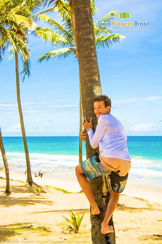 Imagem de um menino subindo no coqueiro da praia.