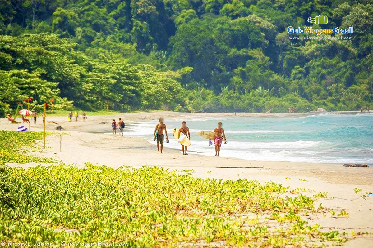 Imagem de surfistas na Praia de Castelhanos.