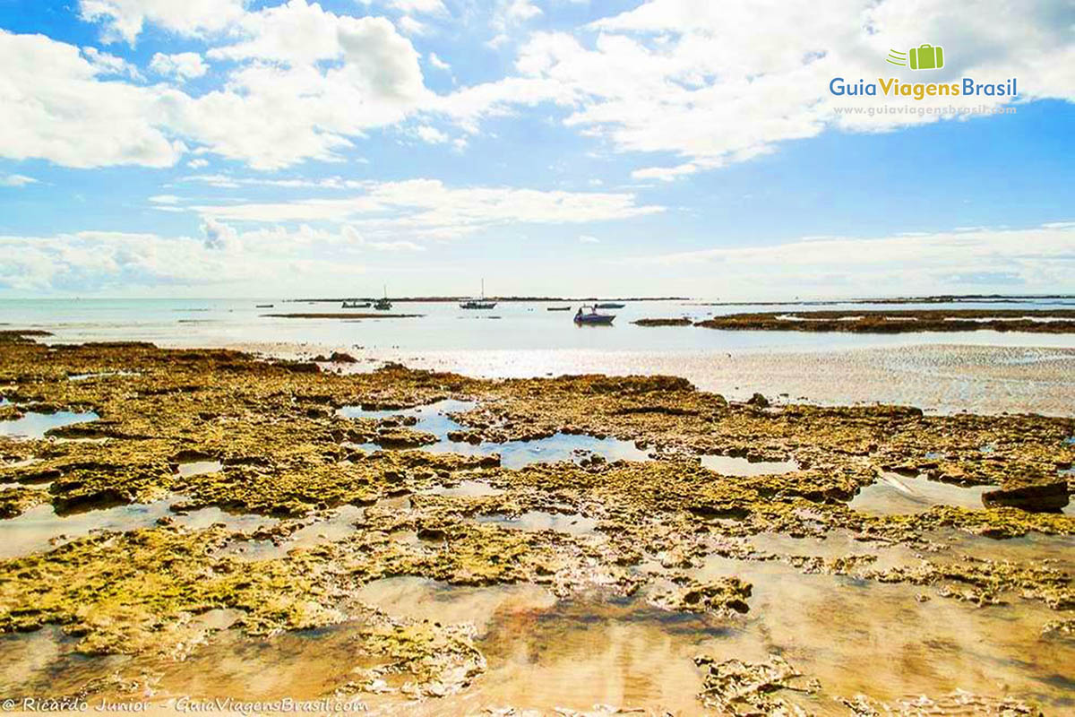 Imagem dos recifes e das águas calmas da terceira Praia.