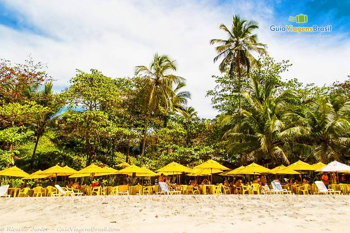 Imagem de vários guarda sol amarelos na areia da praia e ao fundo lindo coqueiros.
