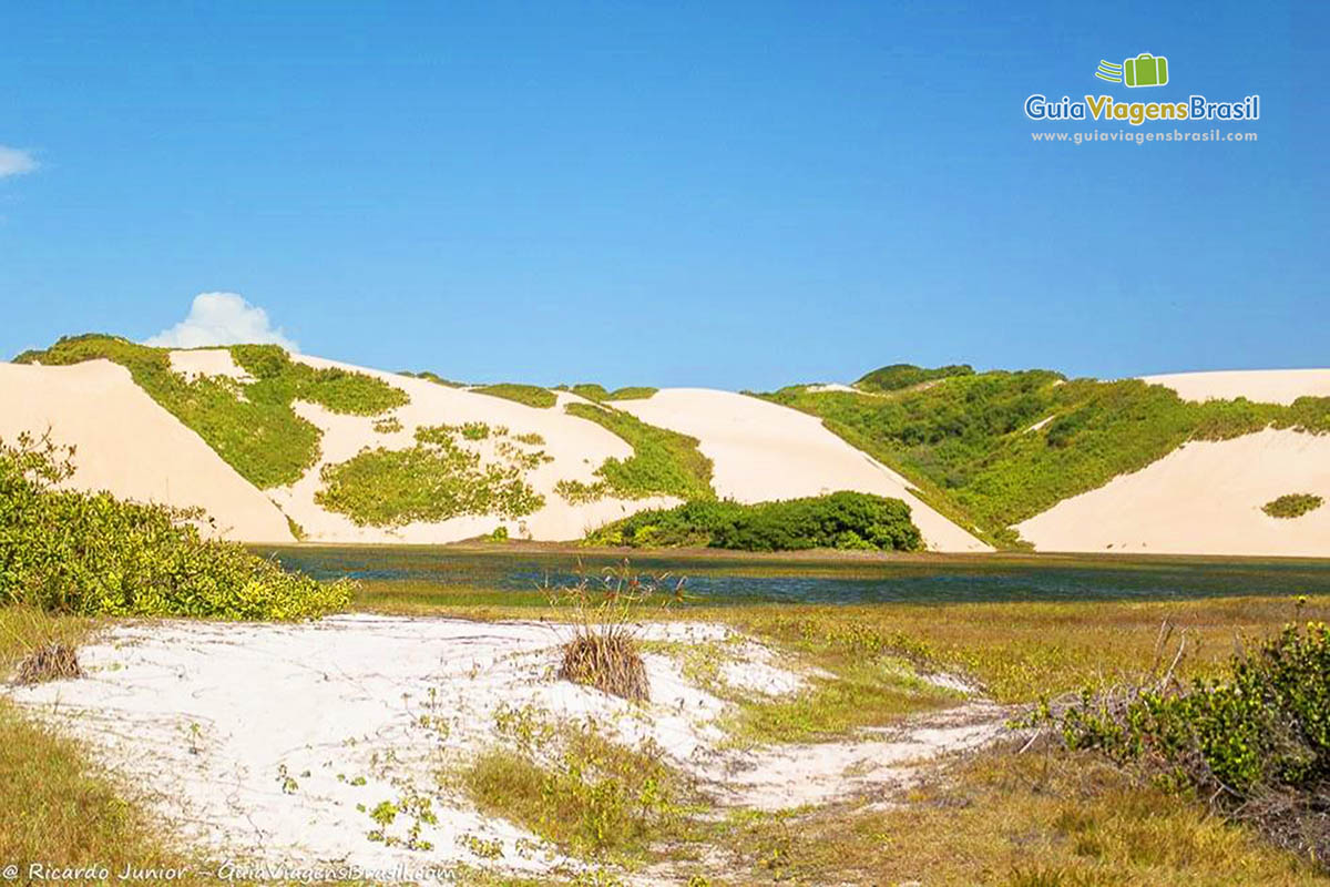 Imagem da vegetação próximo a Lagoa da Genipabu.