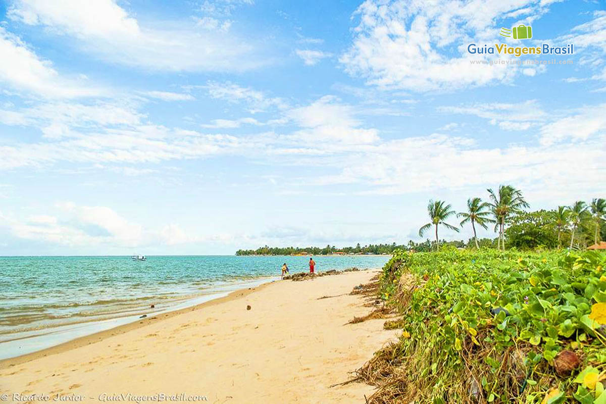 Imagem da vegetação local da Praia de Coroa Vermelha.