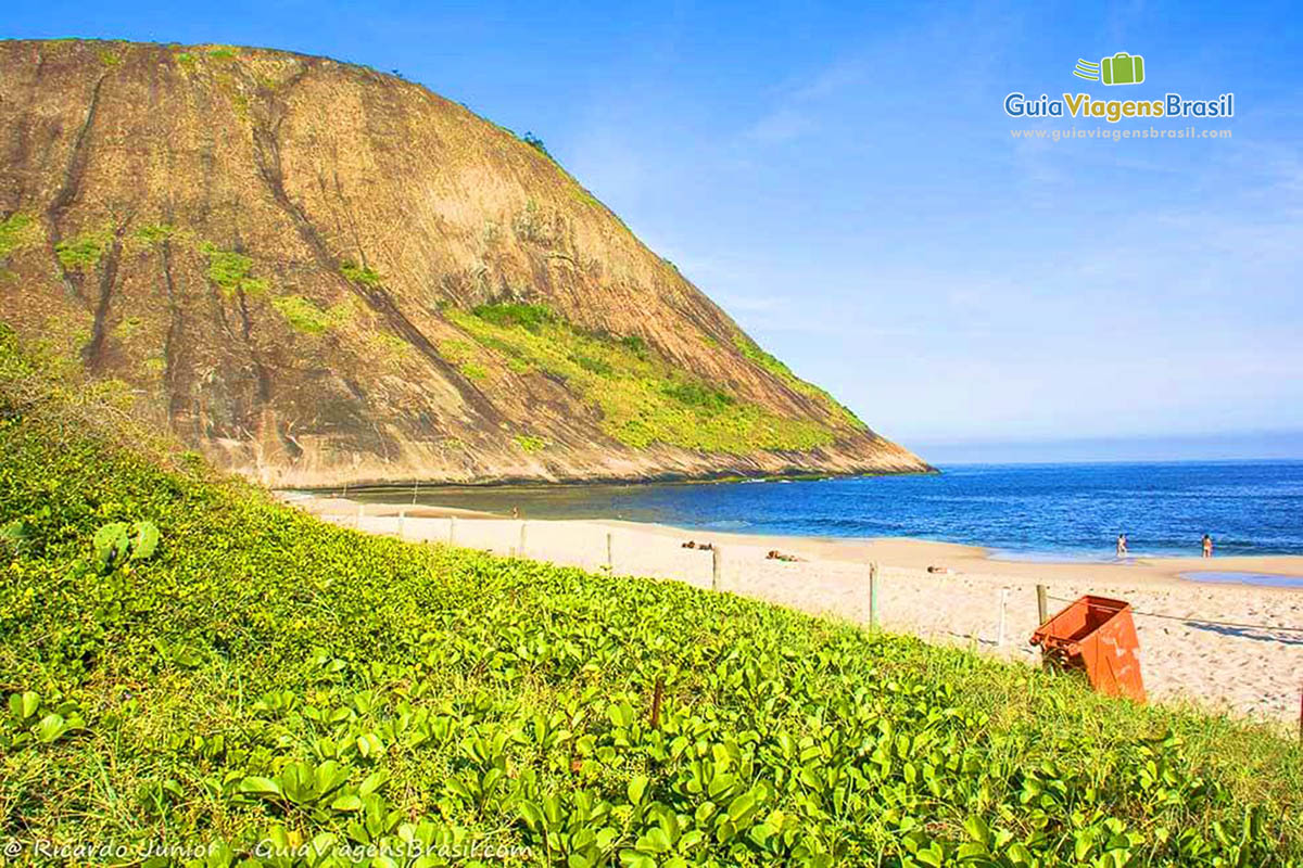 Imagem da bela vegetação na orla da Praia Itacoatiara, em Niterói. 