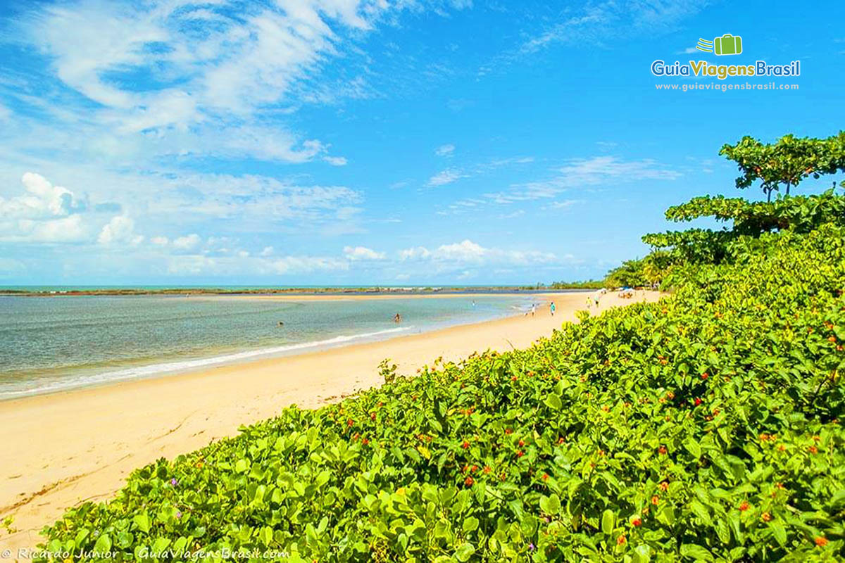 Imagem da bela vegetação da Praia Santo André. 