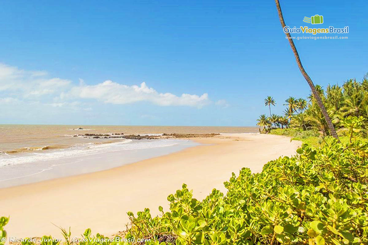 Imagem das águas translúcidas da Praia Coqueirinho.