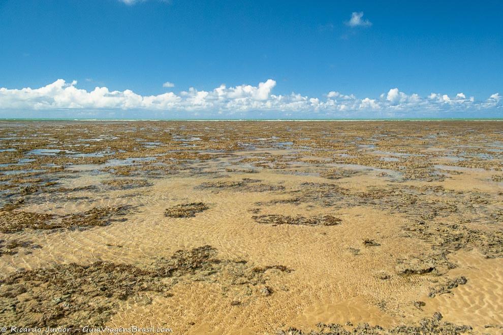 Imagem das águas cristalinas da Praia Coroa Vermelha.