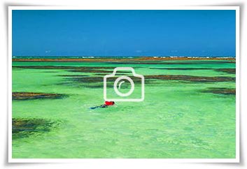 Lista de Galerias de Fotos