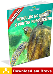 Ebook sobre Pontos de Mergulhos no Brasil
